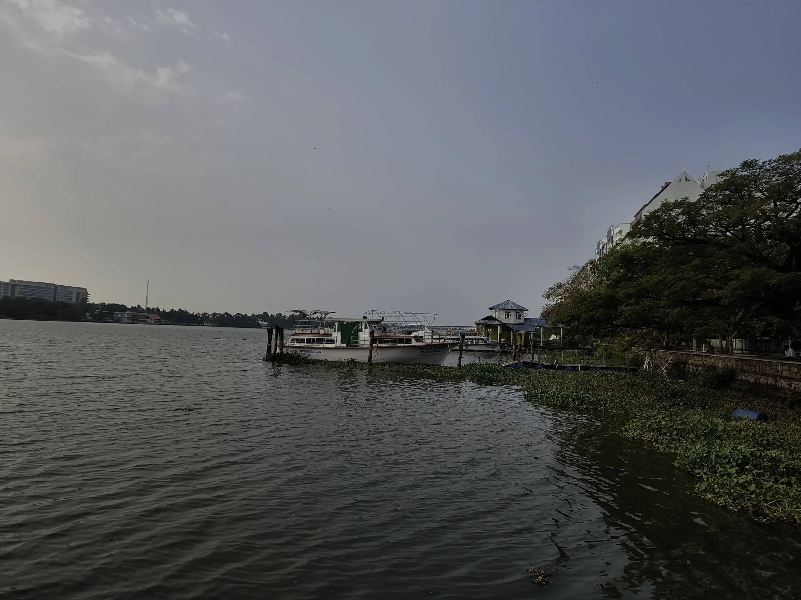 a body of water with a dock and trees